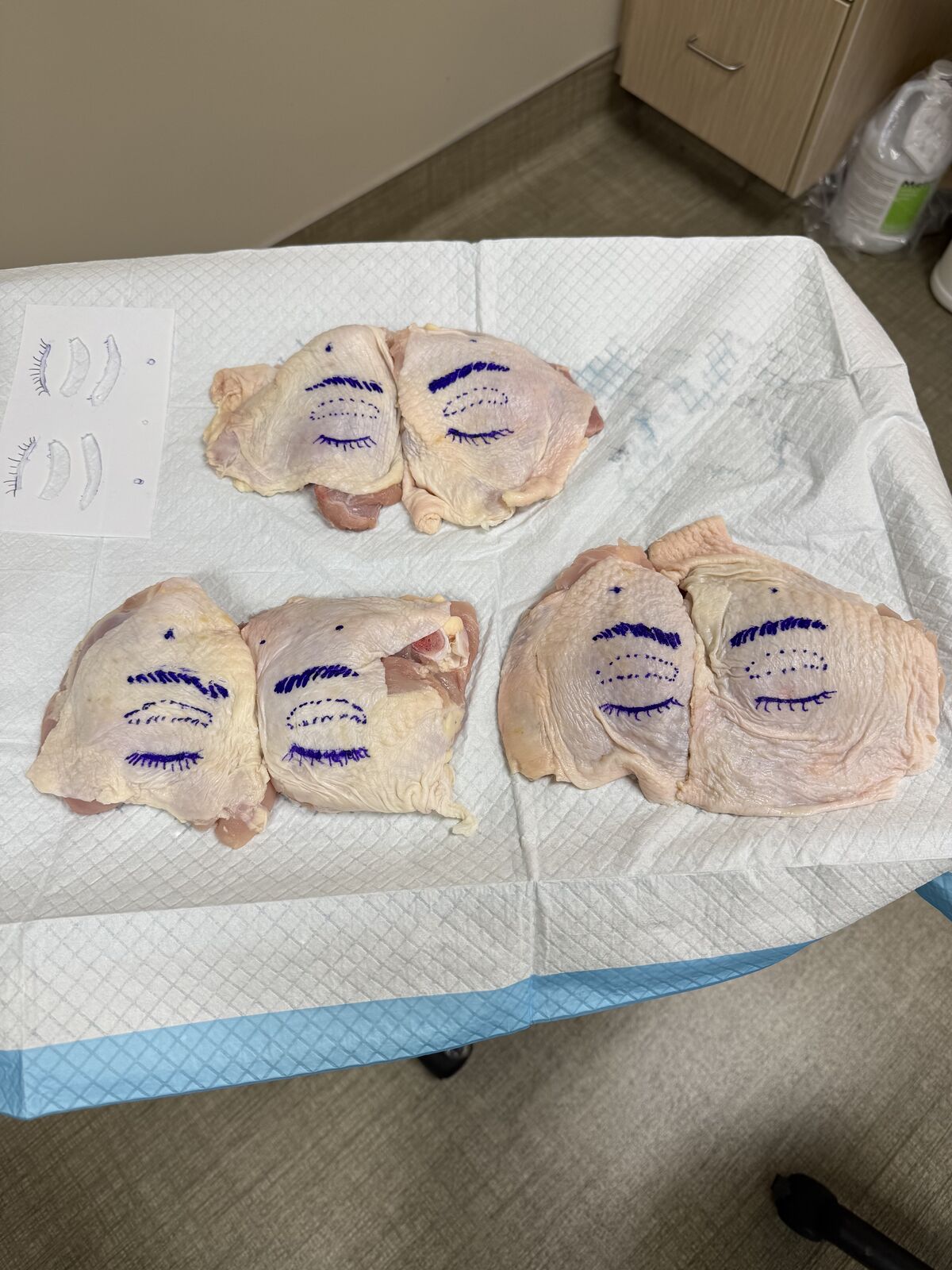 Clinical team preparation: practice tissue marked for a training session